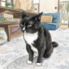 保護猫活動 - 一時預かり猫のKちゃんは食い意地花子で甘えん坊