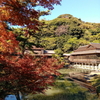 三渓園で紅葉狩り❤晩秋の横浜を満喫しました！