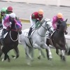 5.30 京都競馬　注目馬　無料