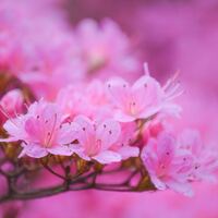 瞬き 多い 子供