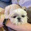 父の日だから？