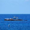 barge (pāki,筏いかだ）