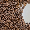 焙煎直後も数ヶ月後のコーヒーも美味しい