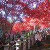 大山寺の紅葉狩り