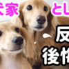 愛犬家としての失敗＆反省5つ