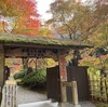 紅葉を探しに
