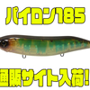 【ハイドアップ】貫通ワイヤー採用のビッグペンシルベイト「パイロン185」通販サイト入荷！