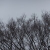 父からの伝言／言葉・230