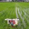 除草機を横方向にかけました。来週は縦方向をしなければ…