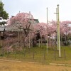 般若院の枝垂れ桜（龍ヶ崎市）～つくば市とその周辺の風景写真案内（１００６） 