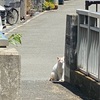花園中央公園