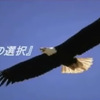 「鷹の選択」