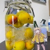 20240609日記