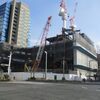 隣の芝生は、本当に青い！
