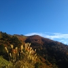 剣山。紅葉がきれいでした。