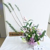 今日の生け花