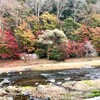 気温差についてゆくのが大変です