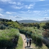 【旅】陽明山観光ツアー