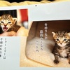 ７月はじまりました