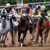 スマホ一台簡潔！自宅で楽しむ競馬【楽天競馬】　地方競馬　登録・馬券購入まで