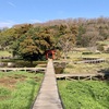 平和な湿性公園に隠された 厳島弁財天秘話（中井町）