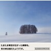 2021年2月19日-23日（火）【真冬のソフトクリームの巻】