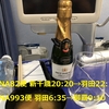 ANA82便 新千歳✈️羽田プレミアム席 ANA993便 羽田✈️那覇 普通席 日またぎフライト搭乗記
