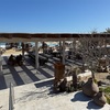 202604 Los Cabos④