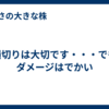 損切りは大切です・・・でもダメージはでかい