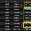 Tペース20分間走