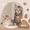 【シューイチ】2月22日は「猫の日」～猫イベント、猫グッズ～