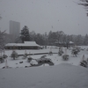 雪降る街をあるけば「玉泉院丸庭園」