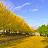 風景写真の構図の研究（２）