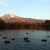 【登山】凍った伊吹山（前編）