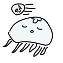 まどろみの蒐集