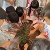 珍しい植物を子ども達に・・・