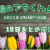 🔮１８日おとめ座満月に何を想う？今週のㇷ゚ちくわ占い（２０２２年３月１４日～３月２０日）🔮