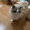 僕が午後休でちょっと驚いたようだったふくちゃん