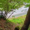 大君ケ畑〜鈴ヶ岳〜鈴北岳〜鞍掛峠〜三国岳〜大君ケ畑縦走