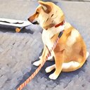 たろすの技術ブログ