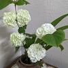 寄り道👣　一番疲れる木曜日が。。。終わった⤴⤴🎵🎵