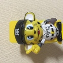 fwgi5268