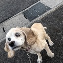 タイピソわくわくランド