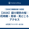【2026】袋川堤防の桜｜開花時期・見頃・見どころ・アクセス