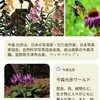 里山暮らし
