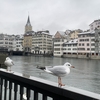 【スイス】街なか散歩で出会った、３つの素敵なエコ♪