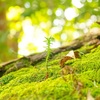 「こわい」の先に種を蒔く