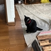 2023/9/12の夕ごはん
