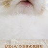 10/5から❗️❗️うさぎファンホイホイな「うさぎしんぼる展 2018」が名古屋で開催❗️❗️