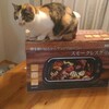スモークレスグリルでお家で焼き肉
